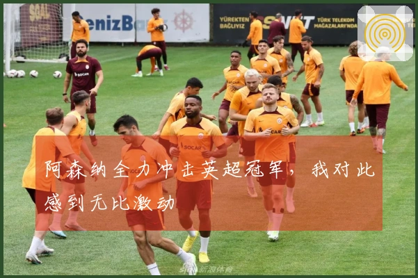 阿森纳全力冲击英超冠军，我对此感到无比激动