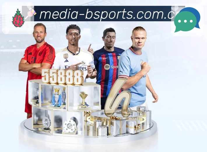 B体育APP 封面图